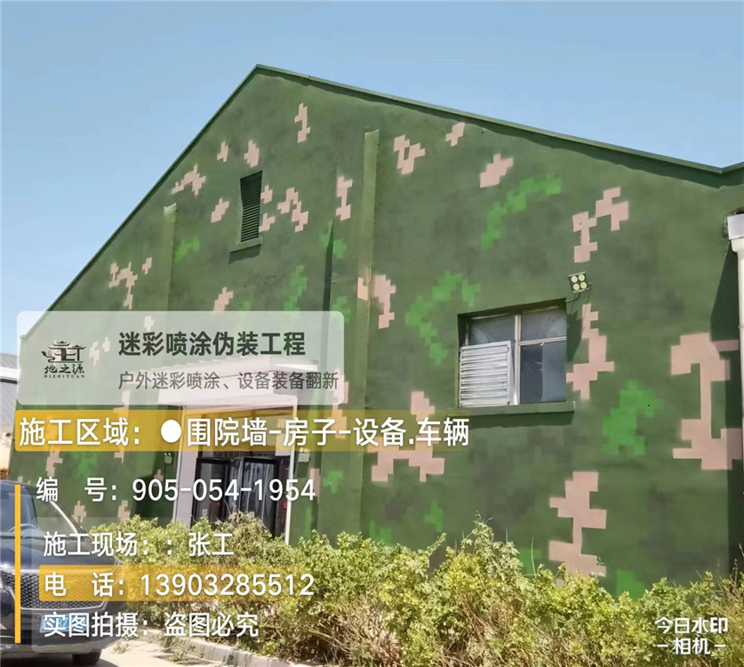 雅安外墙数码迷彩漆施工报价清单（100㎡标准墙面测算）